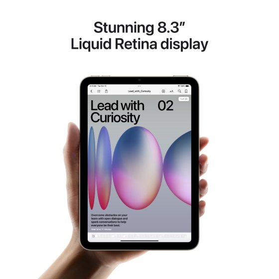 Apple iPad Mini