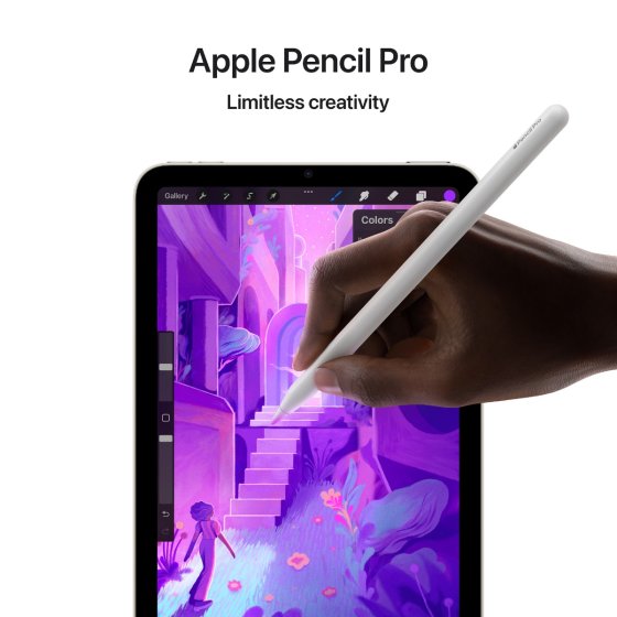 Apple iPad Mini